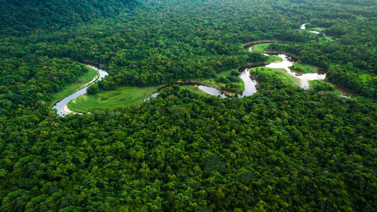 Protecao governamental garante melhores condicoes aos indigenas e quem vive nas proximidades