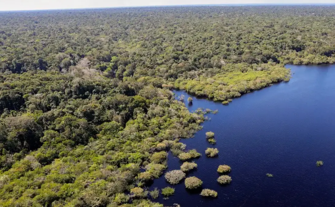 amazonia (2)