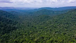 vice-presidente_da_republica_hamilton_mourao_carajas_missoes_diplomaticas_a_amazonia_oriental0809210163