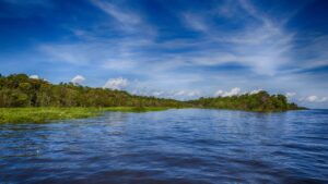 Amazonia_por_Flaviz_Guerra_02