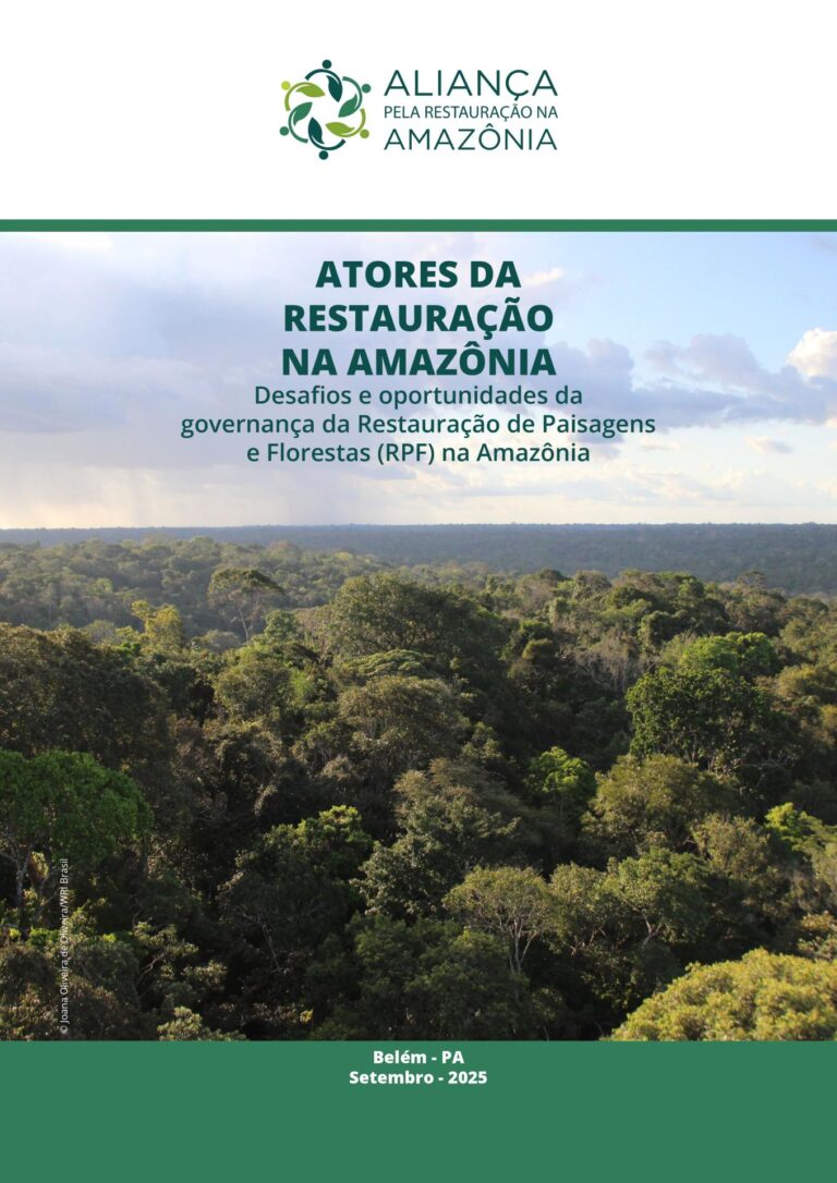 Atores Da Restauração Na Amazônia - Desafios E Oportunidades Da Governança Da Restauração De Paisagens E Florestas (Rpf) Na Amazônia