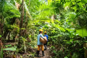 Bioeconomia pode movimentar 765 bilhoes