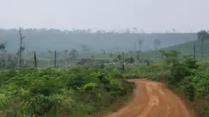 Estação Ecológica Soldado da Borrach