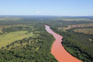 MPF impulsiona criacao do corredor ecologico