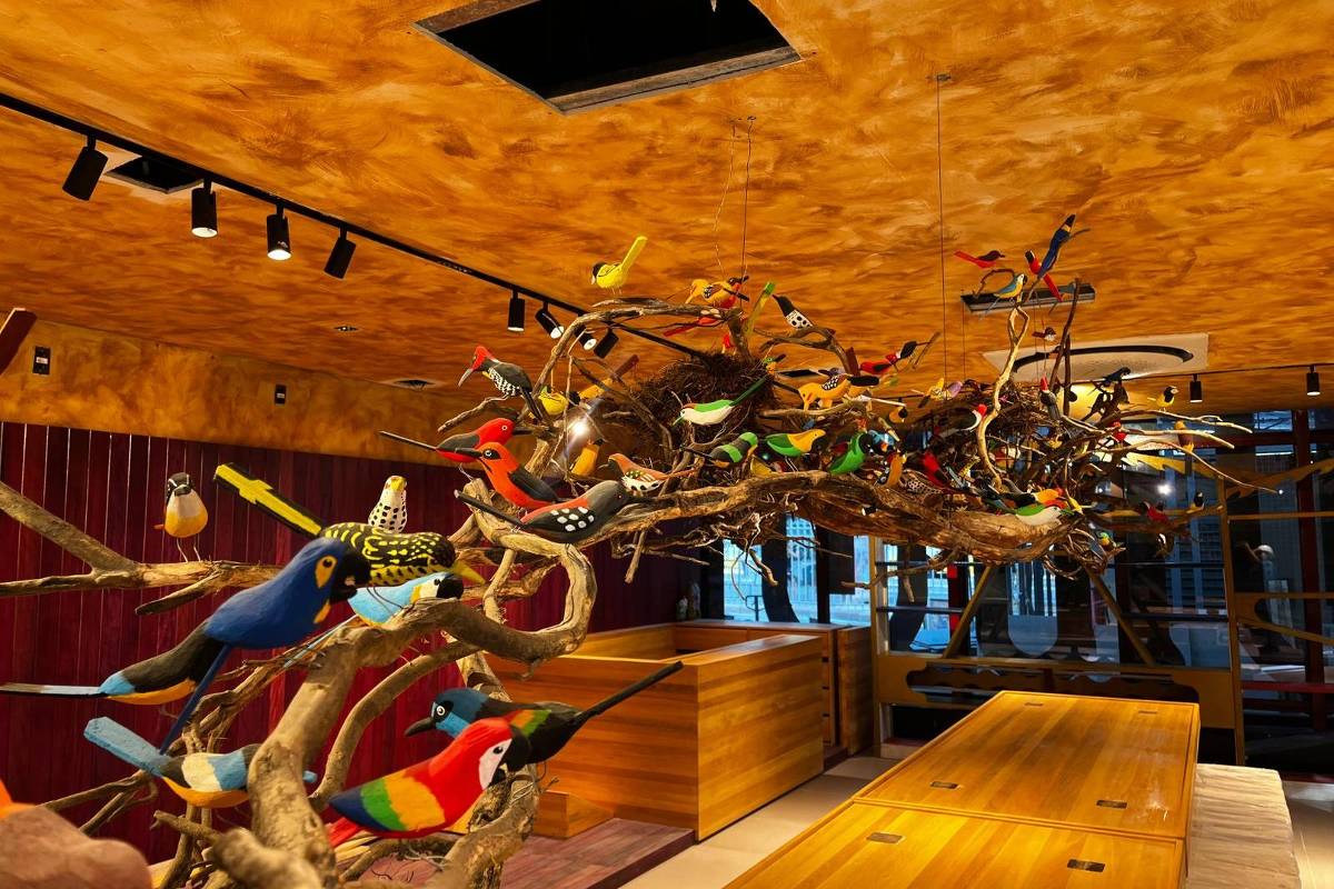 Museu das Amazonias