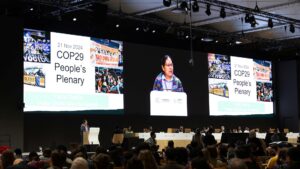 Plenaria dos Povos na COP29