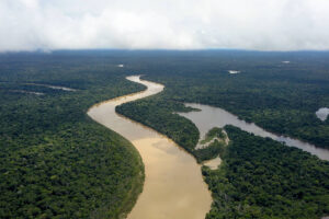 Região do rio Itacoari no Vale do Javari, no Amazonas