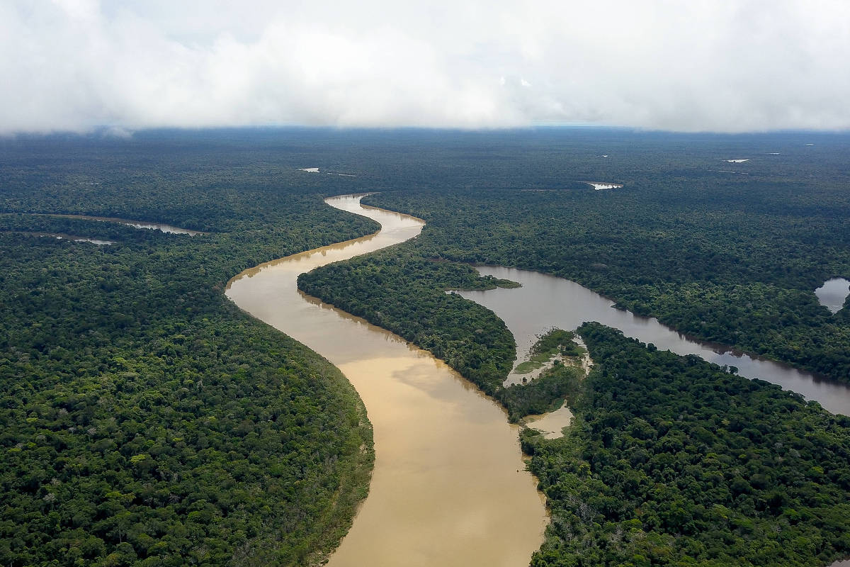 Região do rio Itacoari no Vale do Javari, no Amazonas