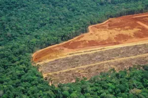 desmatamento-amazonia-madeira-ilegal