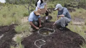 pegadas-revelam-que-diversos-grupos-de-dinossauros-habitaram-simultaneamente-a-area-1761663465165_v2_900x506.jpg