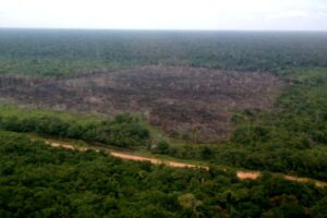 BR-319