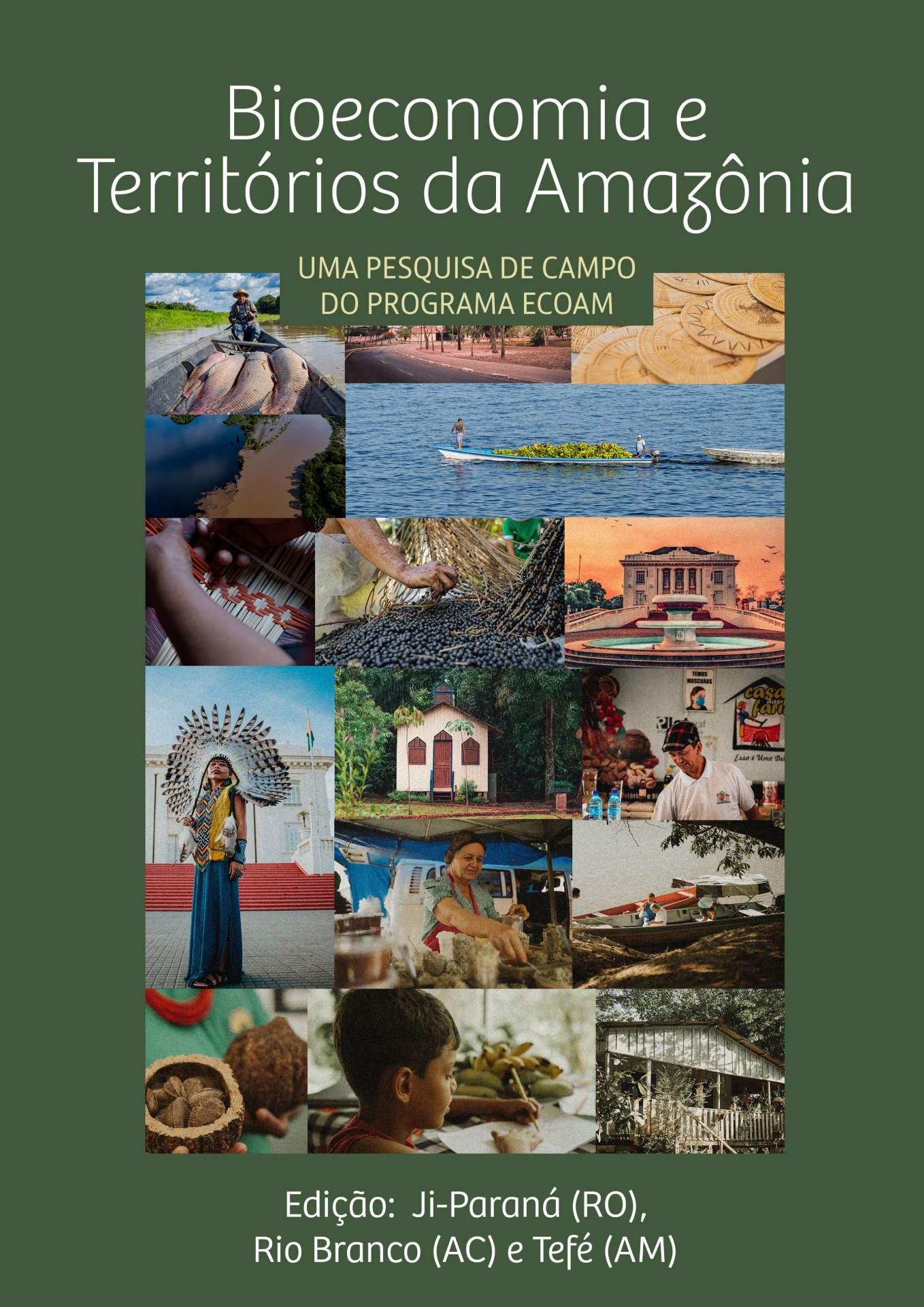 Bioeconomia e Territórios da Amazônia