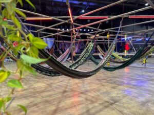 FIINSA une arte sustentabilidade e carbono neutro
