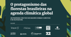 O protagonismo das florestas brasileiras