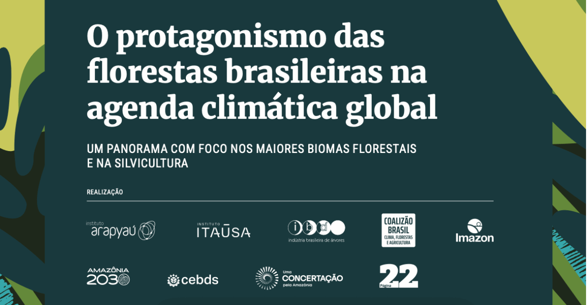 O protagonismo das florestas brasileiras