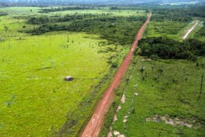 Unidade de Conservacao na Amazonia