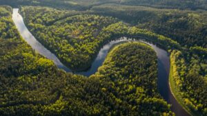 amazonia-rio-verde-floresta-848x477
