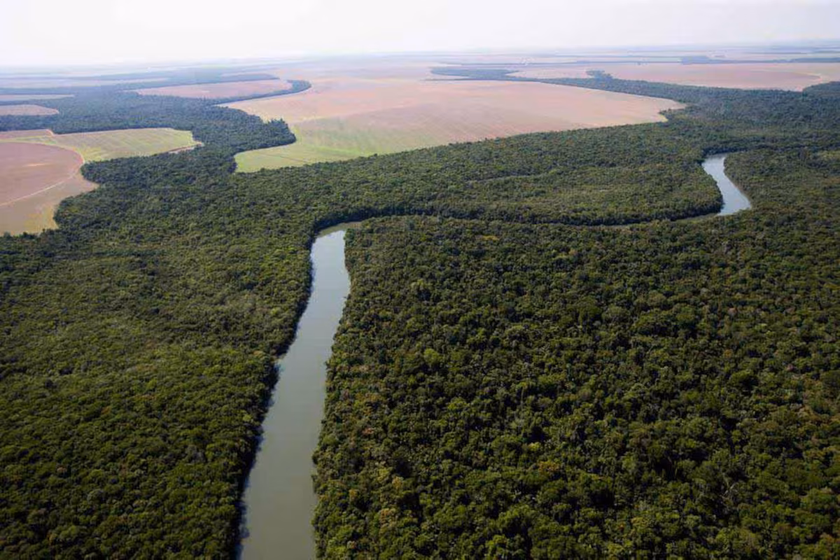 A Zona Franca da Bioeconomia pode transformar o discurso ambiental