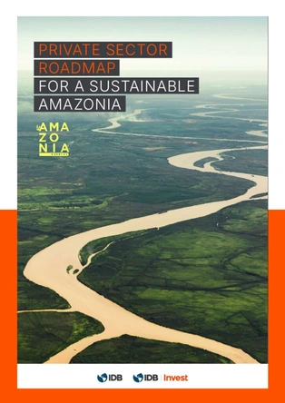 IDB & IDB Invest - Private Sector Roadmap for a Sustainable Amazonia