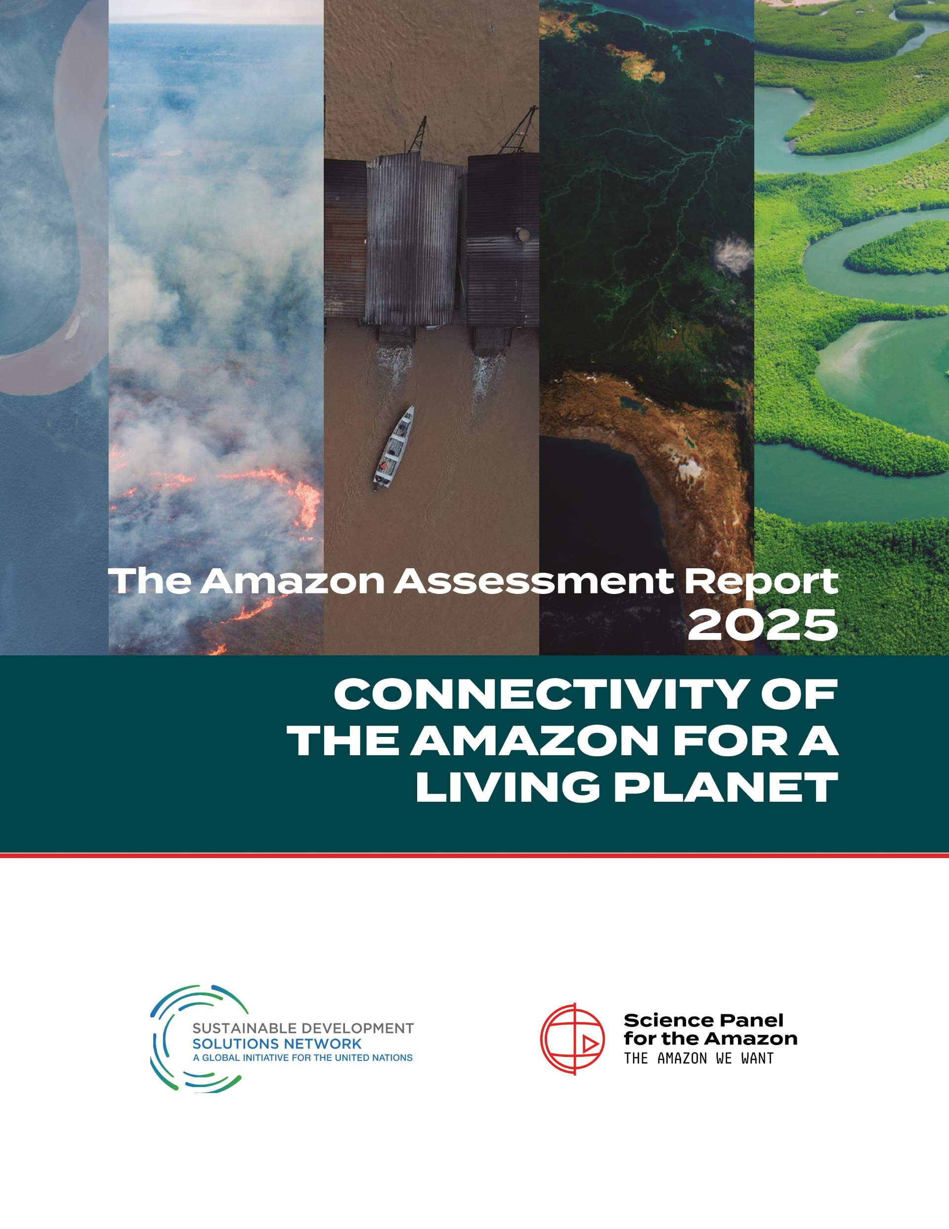 The Amazon Report 2025