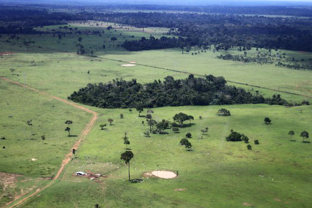 amazonia-area-sem-destinacao