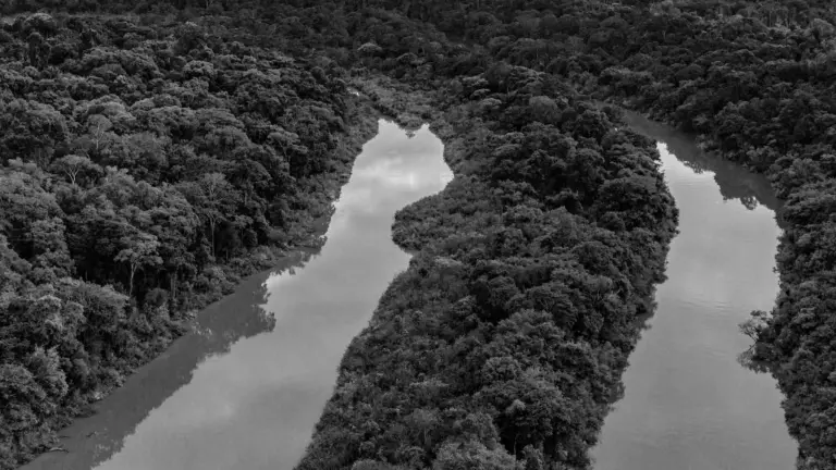 Indigenistas decifram sinais na floresta para proteger grupos isolados da amazônia