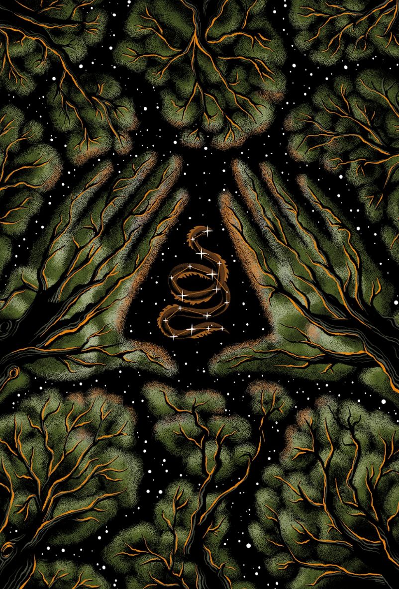 Guided by the stars (Winny Tapajós)