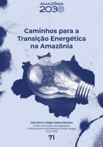 Caminhos-para-a-transicao-de-energia-na-Amazonia-2