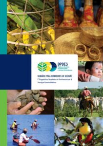 sumario-para-tomadores-de-decisao-biodiversidade