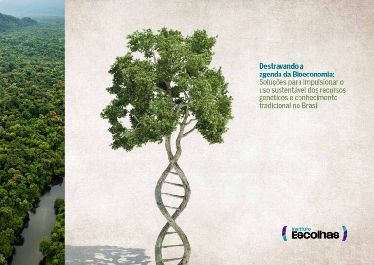 Destravando-a-agenda-da-Bioeconomia