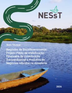 NESsT_Amazonia_Nota_Tecnica_Hibridismo
