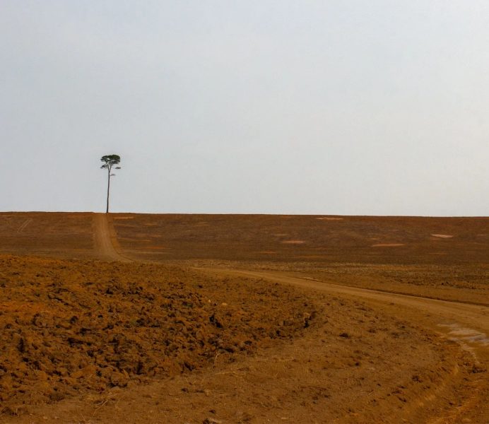 01.sojasantarem_abre-1440x1248