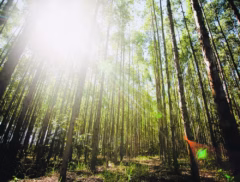 06opin-200-col-op1-a14-img01