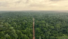 0fBjBuw2-shutterstock_2592901731-1