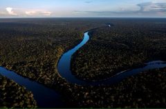 102456986-files-in-this-file-photo-taken-on-june-07-2022-a-drone-view-of-the-manicore-river-deep-ins