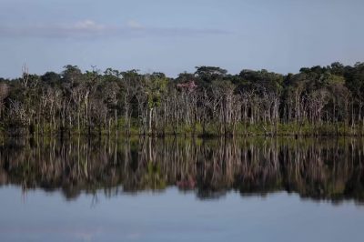 103622642-view-of-the-amazonia-rainforest-at-unini-extractive-reserve-during-an-expedition-organized