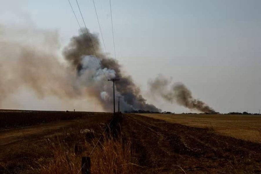 108649564-pa-brasilia-df-30-09-2024-incendio-atinge-area-do-nucleo-rural-cafe-sem-troco-em-brasili