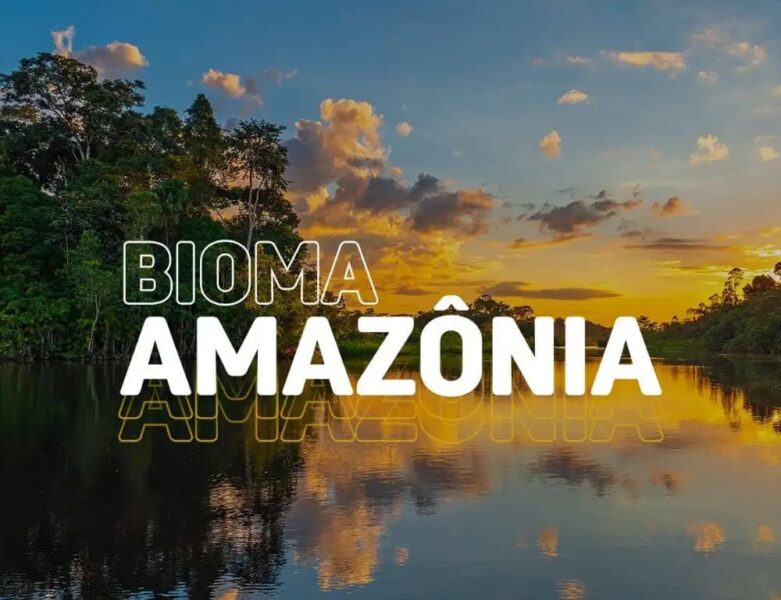 11387845-b1b8-498d-bdc7-9ab57192c645