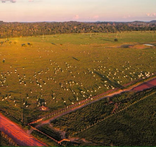 15opin-200-col-op1-a14-img01