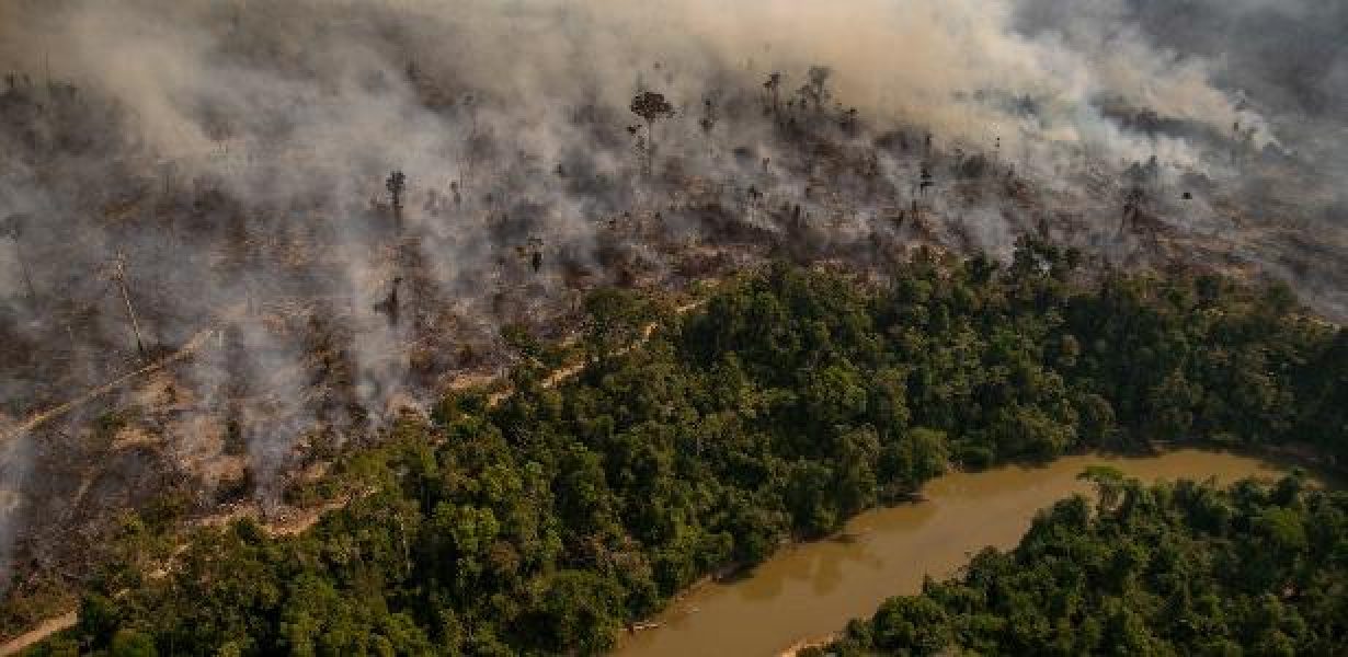 16ago2020---area-devastada-pelo-fogo-na-amazonia-1598983516666_v2_615x300