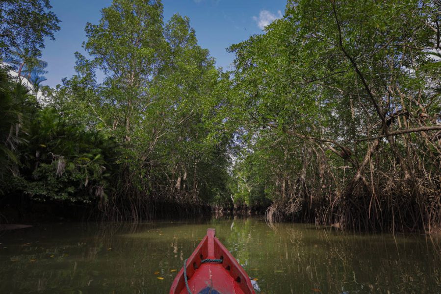 171103383165fc4de78ddd4_1711033831_3x2_lg