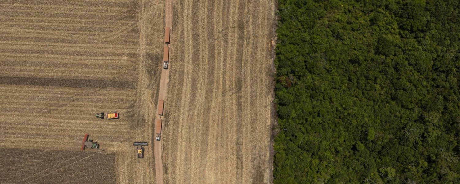 1729034865670efa713c6ae_1729034865_5x2_rt Grande