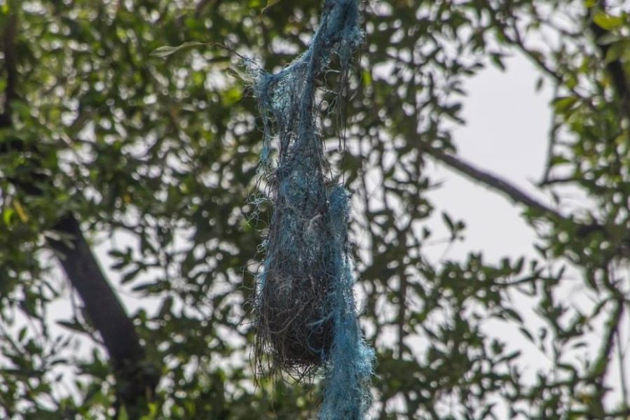 1738192414679ab61e952d6_1738192414_3x2_lg