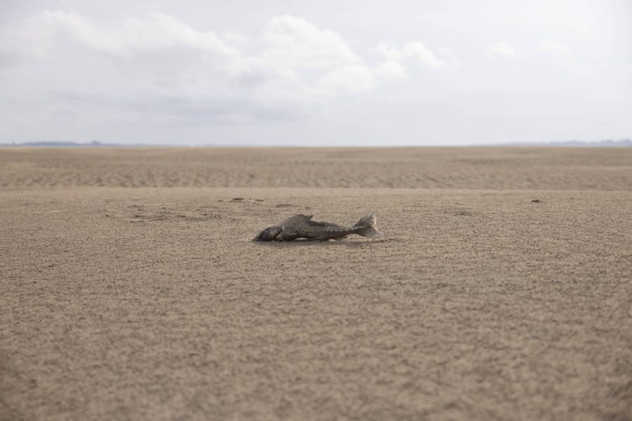 1746642765681ba74ddb2c5_1746642765_3x2_xl