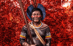 18-8-22-Exposicao-sobre-Amazonia-Edu-Simoes-1