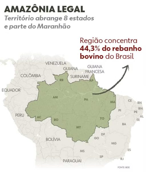 1907-amazonia-legal-mob