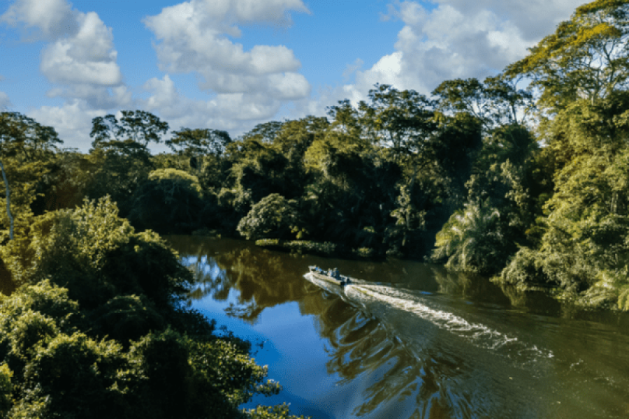 1_amazonia_jpeg-28789496