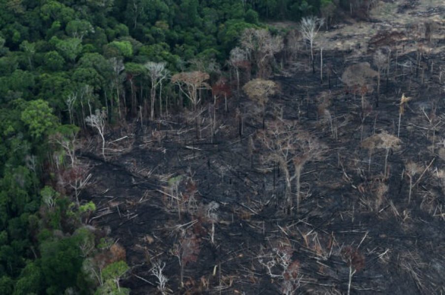 An aerial view of a tract of Amazon jungle after it was cleared by farmers in Itaituba, Para, Brazil September 26, 2019.  Picture taken September 26, 2019. REUTERS/Ricardo Moraes - RC2WDD9MVRJP