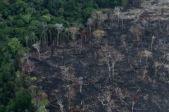 An aerial view of a tract of Amazon jungle after it was cleared by farmers in Itaituba