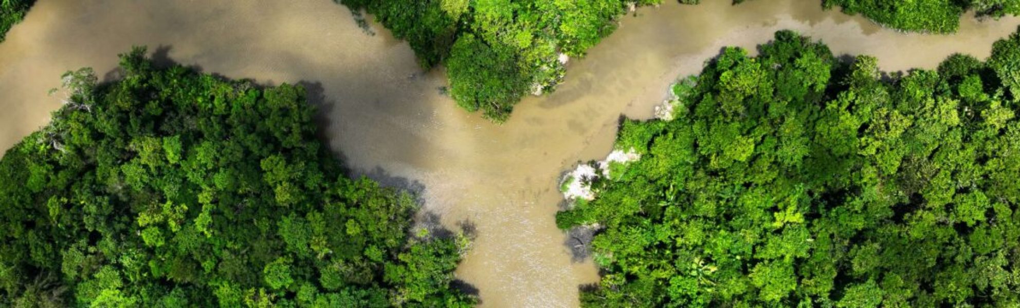 2023-08-06T234954Z_942660973_RC2OH2A0LEMY_RTRMADP_3_GLOBAL-ENVIRONMENT-AMAZON-POLLUTION-1138x344